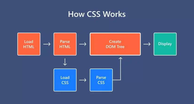 หลักการทำงานของภาษา CSS ร่วมกันกับภาษา HTML